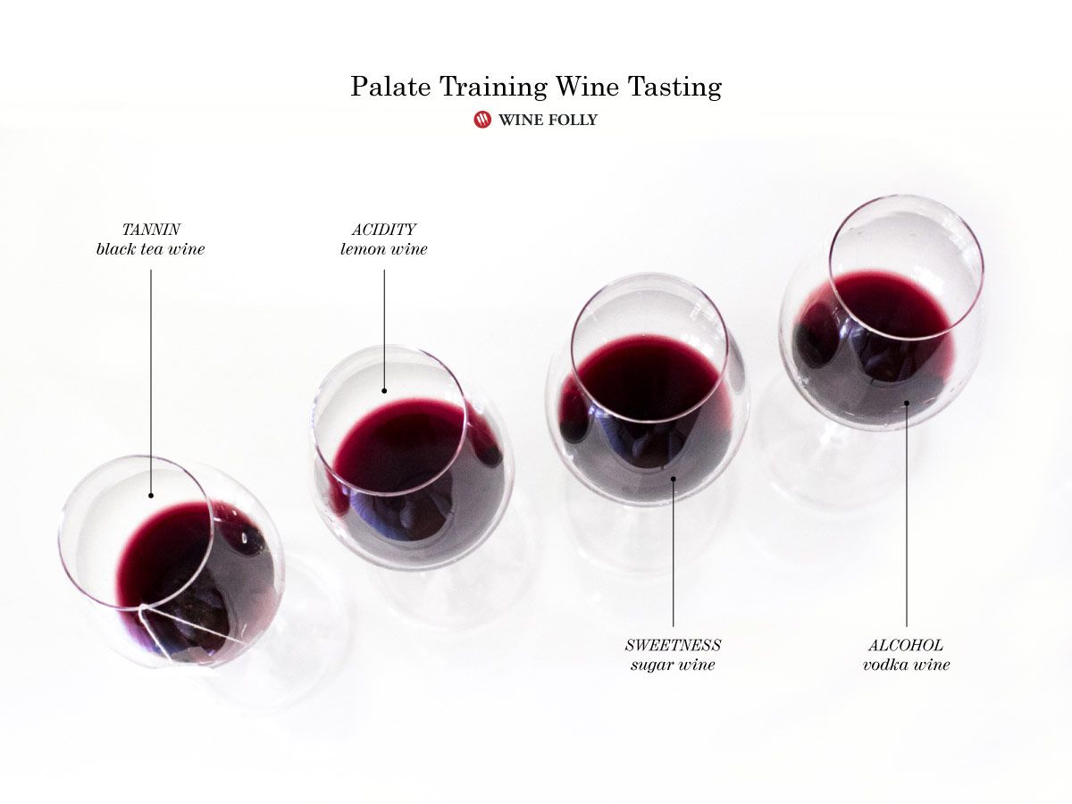 Вкус-обучение-дегустация вин