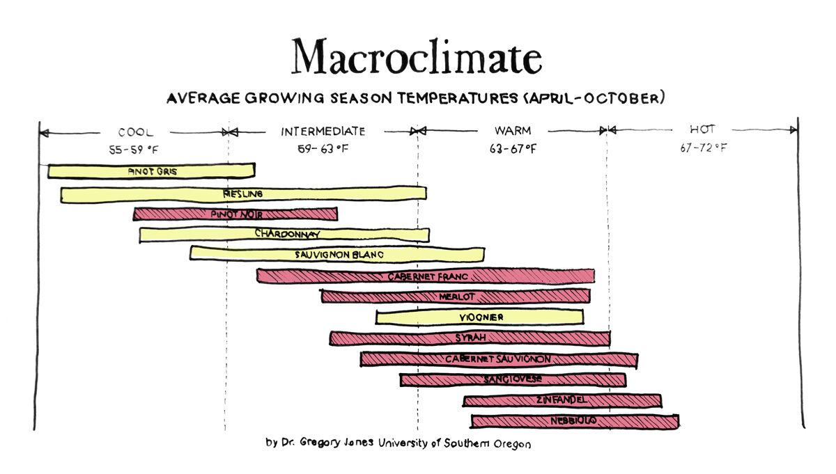 makroklima-podnebje-vinska neumnost