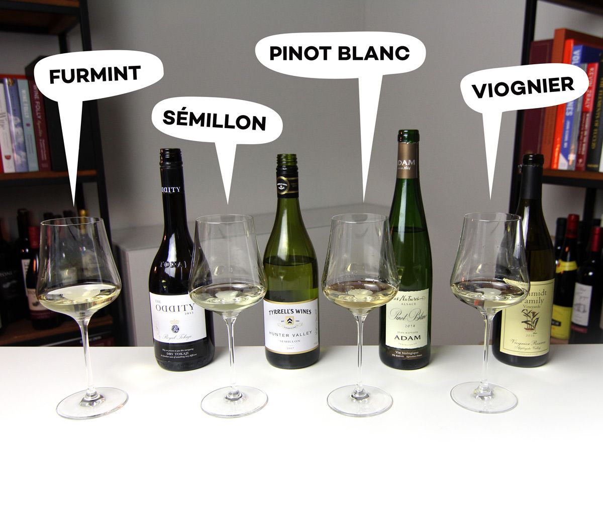 Steklenice suhe Furmint, Sémillon, Pinot Blanc in Viognier - Wine Folly