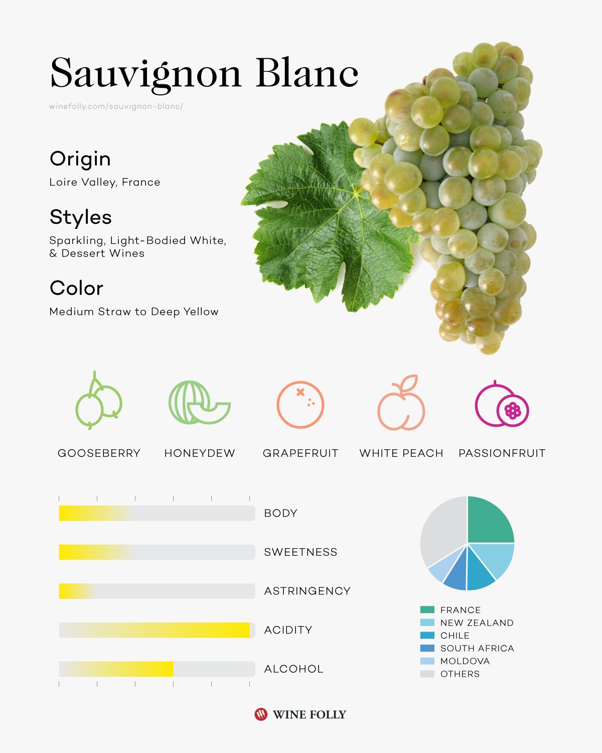 „Wine Folly 2019“ „Sauvignon Blanc“ vyno skonio profilio infografika