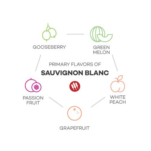 Chuť Sauvignon Blanc podľa vína Wine Folly