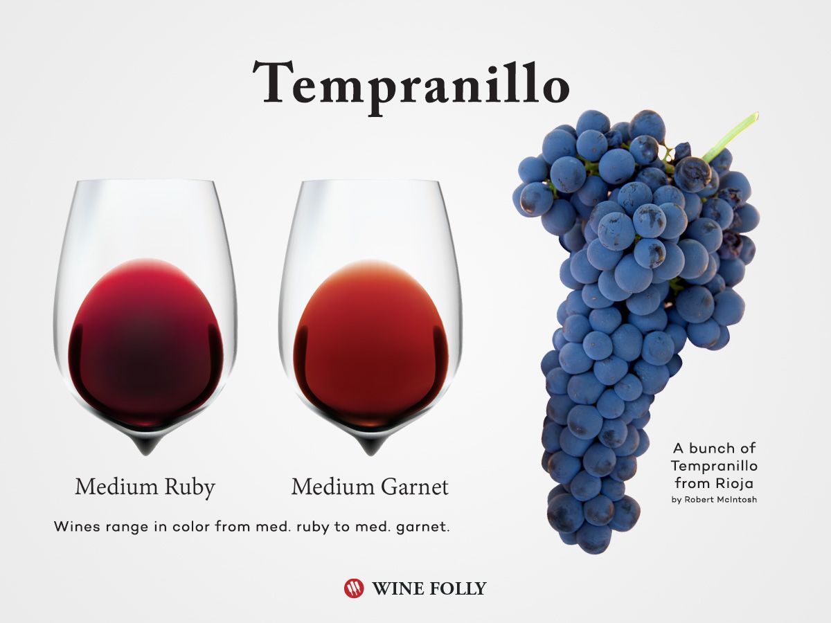 „Tempranillo“ vynuogės ir vyno spalva stiklinėje „Wine Folly“