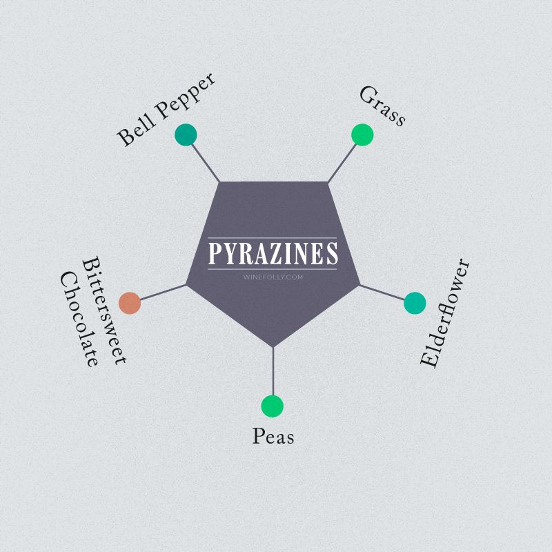 pirazinas-vyno aromatas-varpelis-pipiras