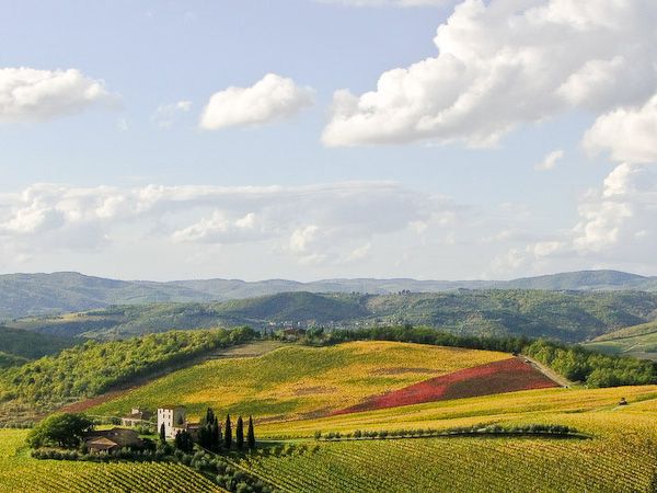 Toscana-viñedos-por-frederic-poirot