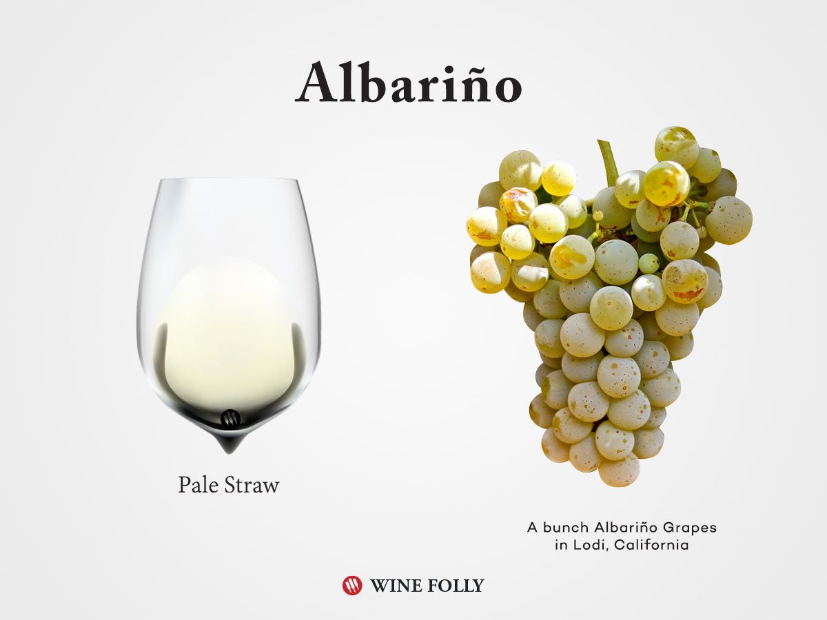 Hrozno Albarino a víno Albarino v pohári od spoločnosti Wine Folly 2017