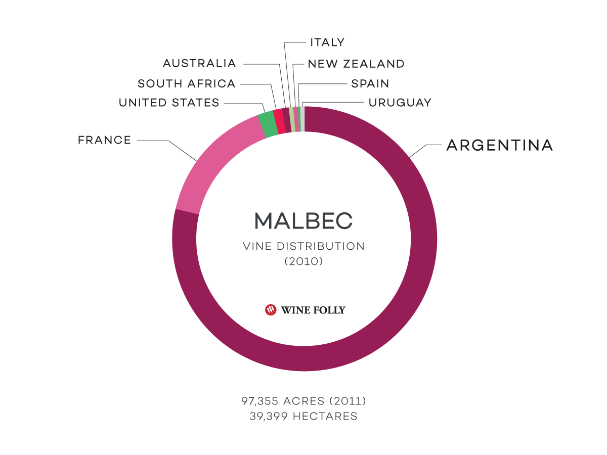 As plantações de hectares / hectares de vinhedos Malbec no mundo - infográfico de distribuição de uvas por Wine Folly