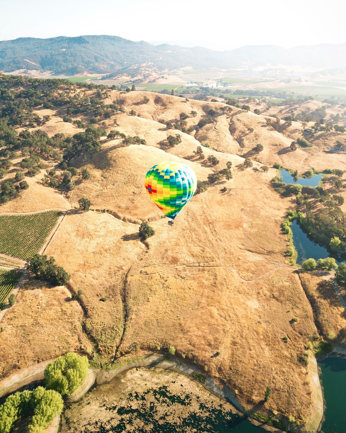Dolina Napa z zračnim balonom - pogled na vinograde - Foto Sebastien Gabriel
