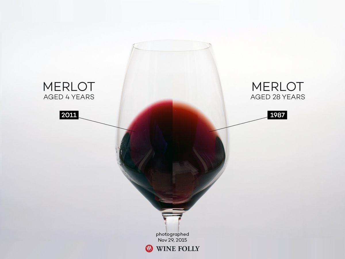 Farba vína a ako starne, ukazuje Merlot podľa Wine Folly