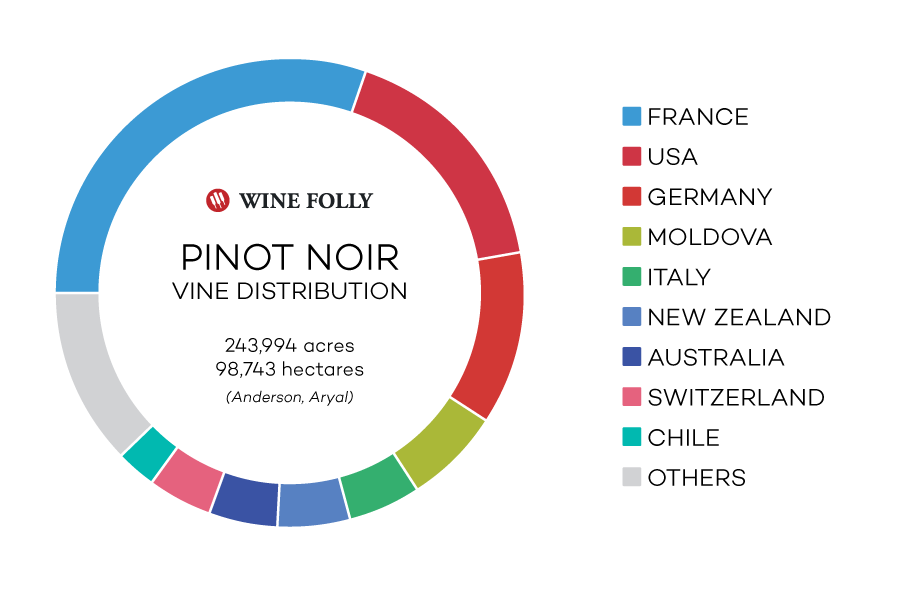 Uva de vino Pinot Noir acres / hectáreas en todo el mundo y los principales países - infografía de Wine Folly