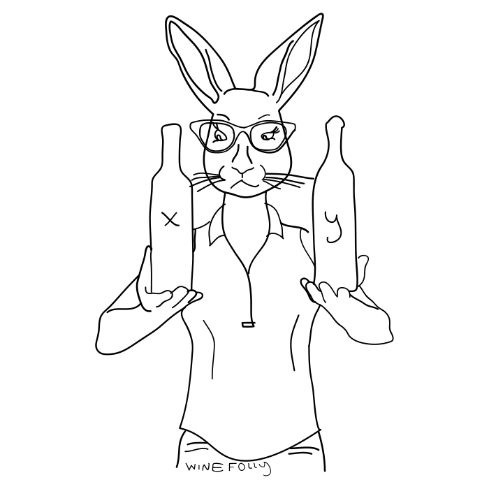 konijn-in-kleding-wijn-hipster-illustratie