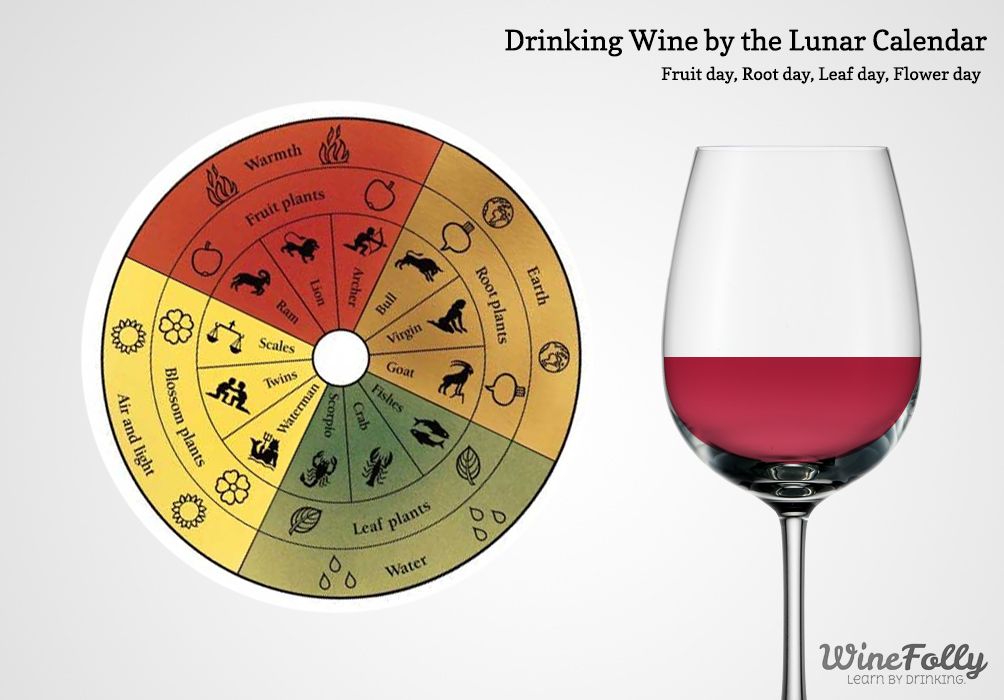 Pitje vina na sadni dan - biodinamični koledar