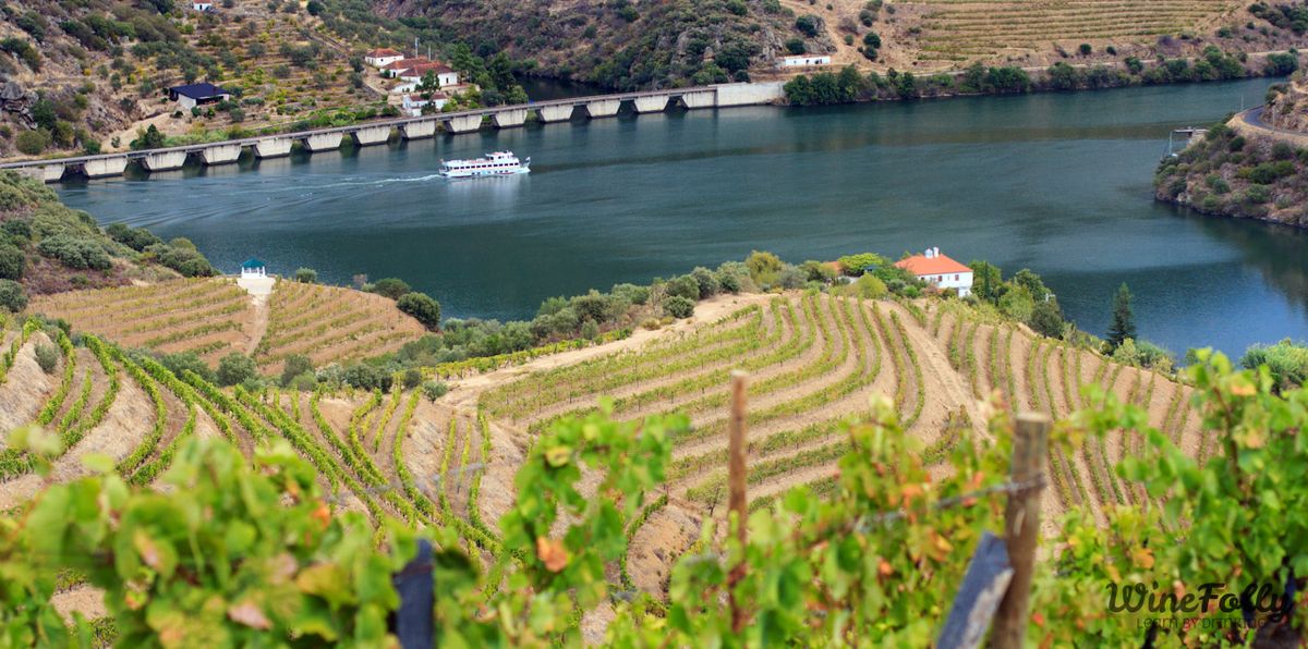 douro-rieka-dolina-portugalsko-port-vinařská krajina