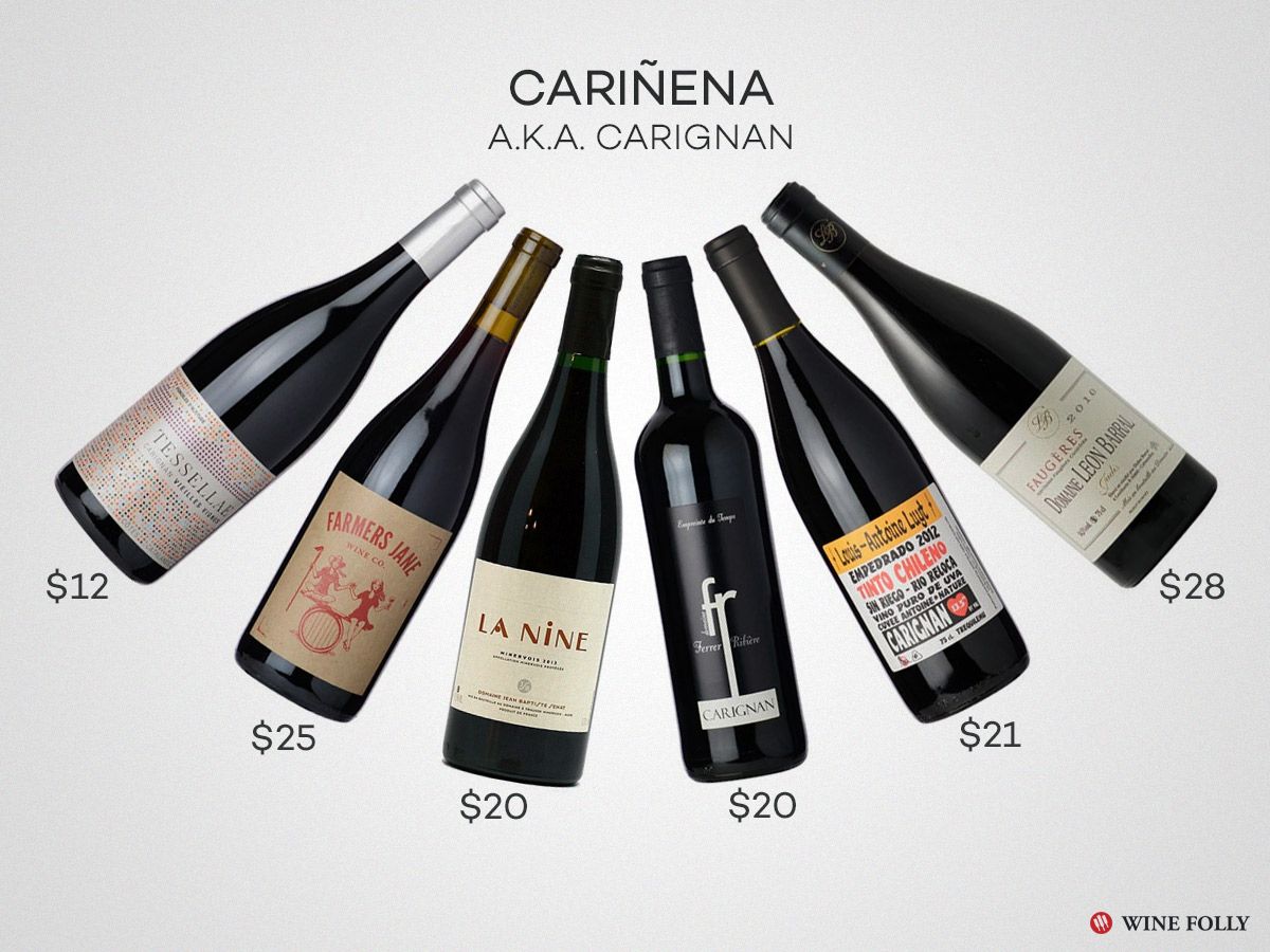 Stora Carignan-viner Cariñena