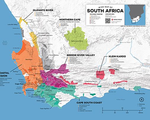 Vinski zemljevid Južne Afrike - Wine Folly