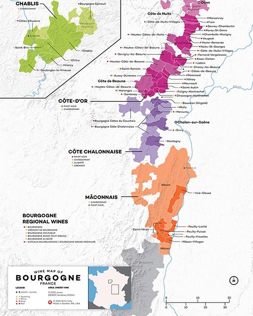 Burgundijos vyno žemėlapis - „Wine Folly“