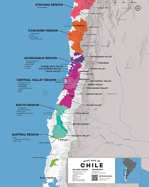 Čilės vyno žemėlapis