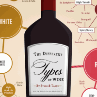 Įvairių tipų vyno infografijos ištrauka