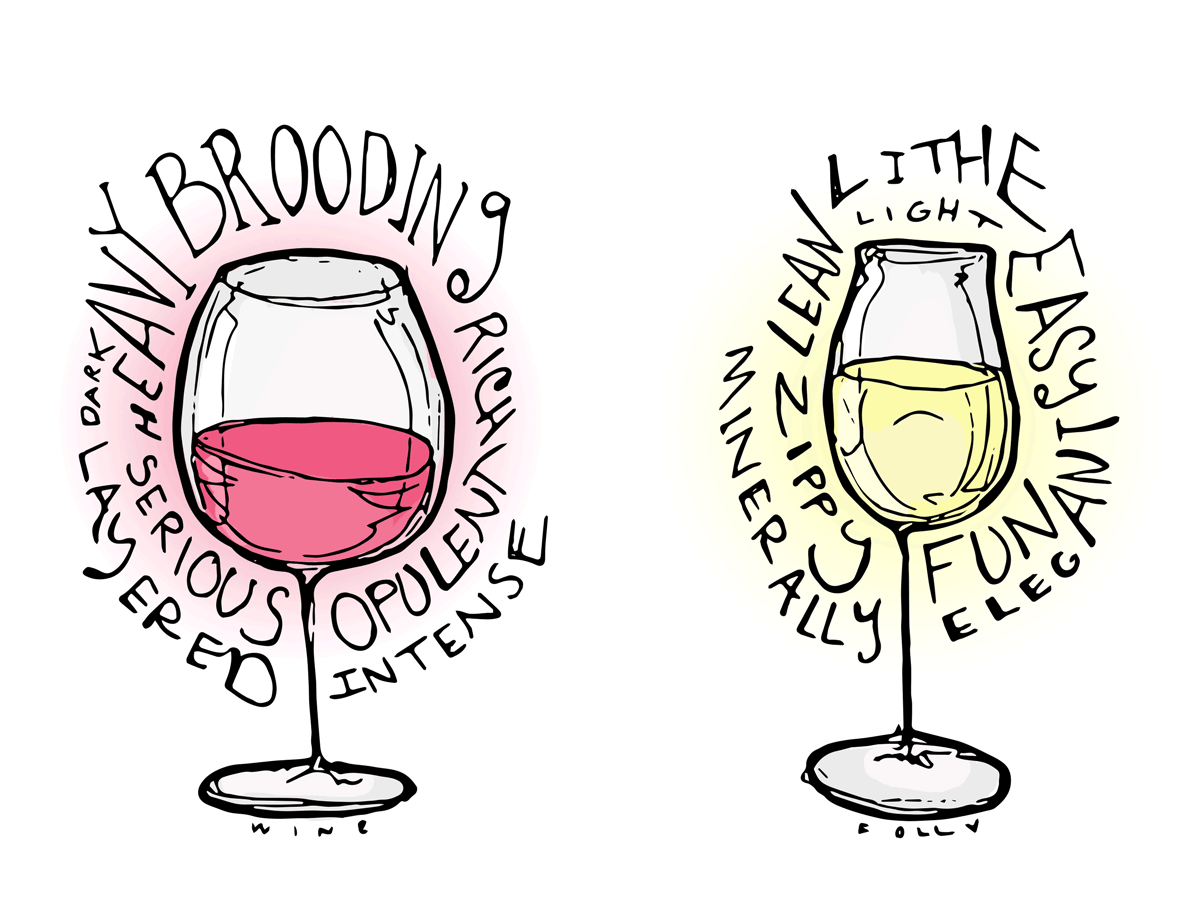 bílé víno-ilustrace-vinařství