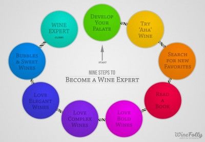 9 étapes pour devenir un expert du vin