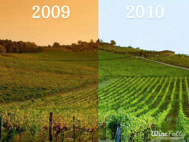 kako podnebje in vreme vplivajo na vinograde z različnimi letnicami