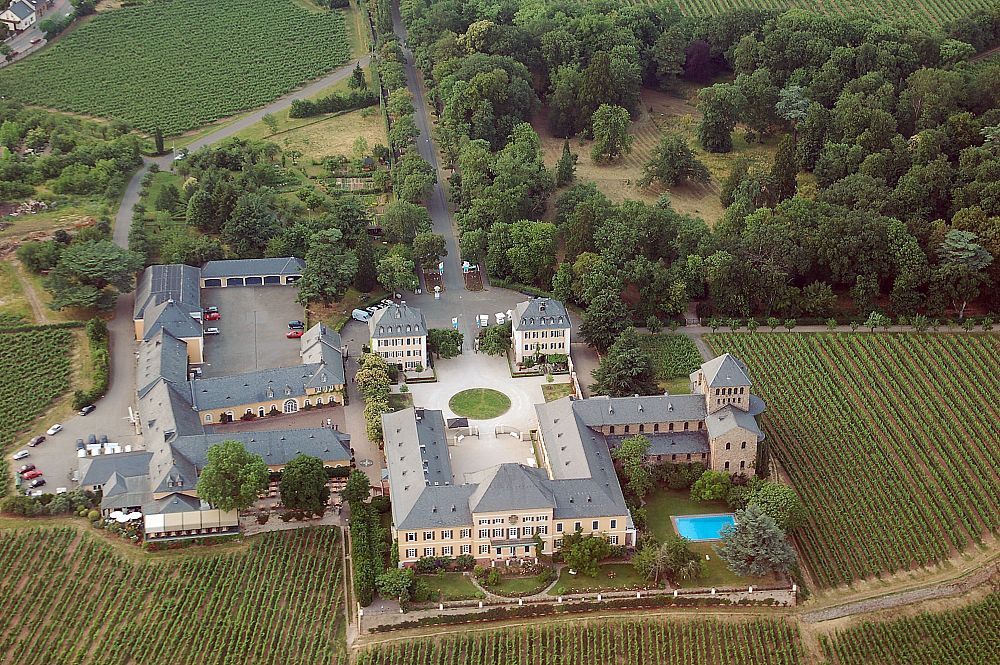 Vue aérienne des vignobles les plus anciens de Schloss Johannisberg