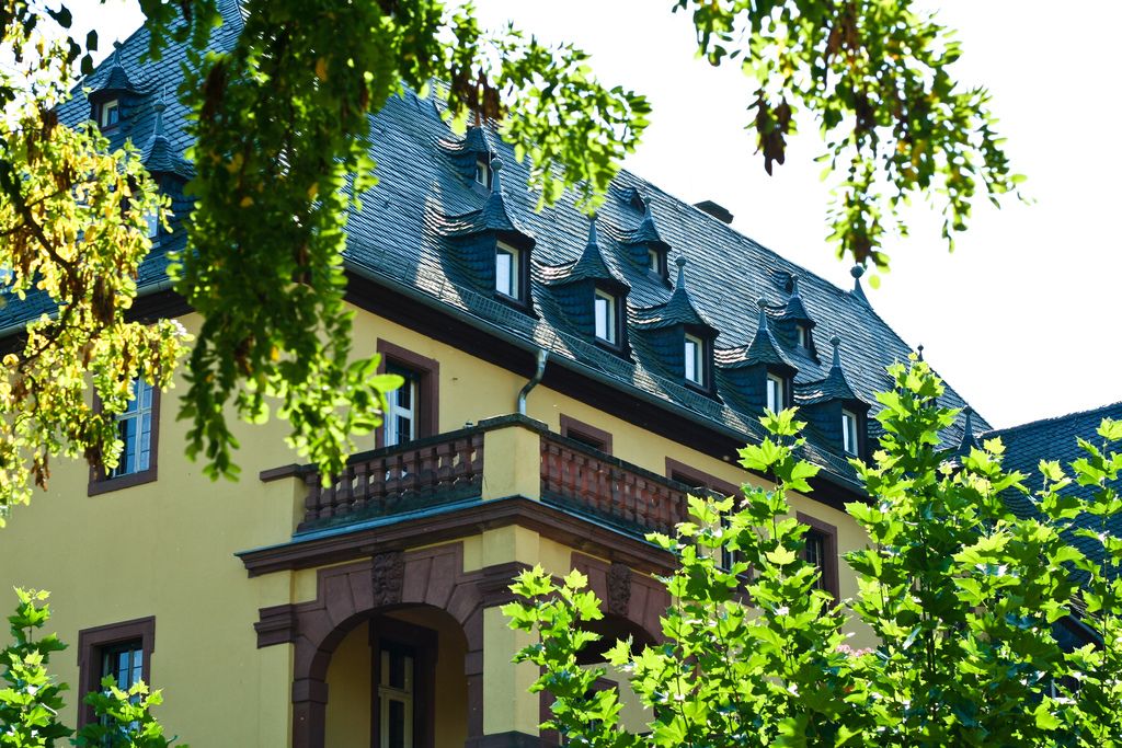 Schloss Vollrads היקבים הוותיקים ביותר