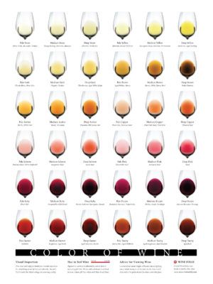 Tableau des couleurs du vin par Wine Folly
