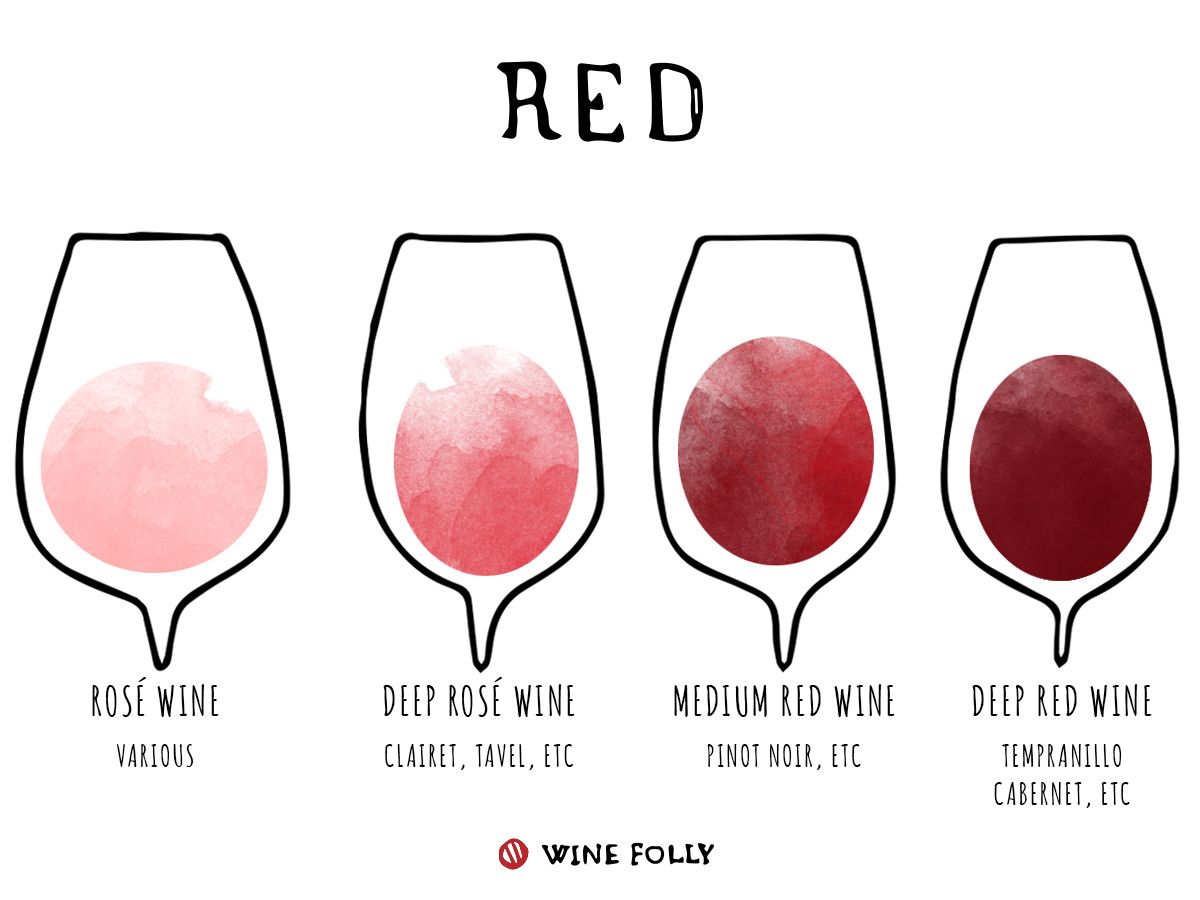 Raudonojo vyno spalvos informacija apie vyną taurėse „Wine Folly“