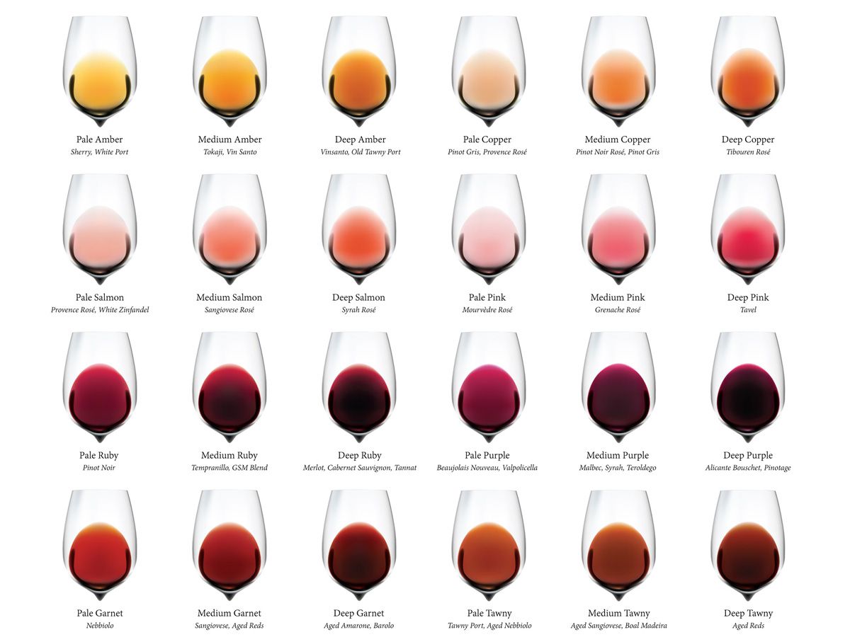 Извадка за цветна диаграма на виното