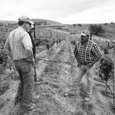 Emilio, delovodja vinogradov v vinogradih Elephant Mountain (WA). avtor Sam Kiersey