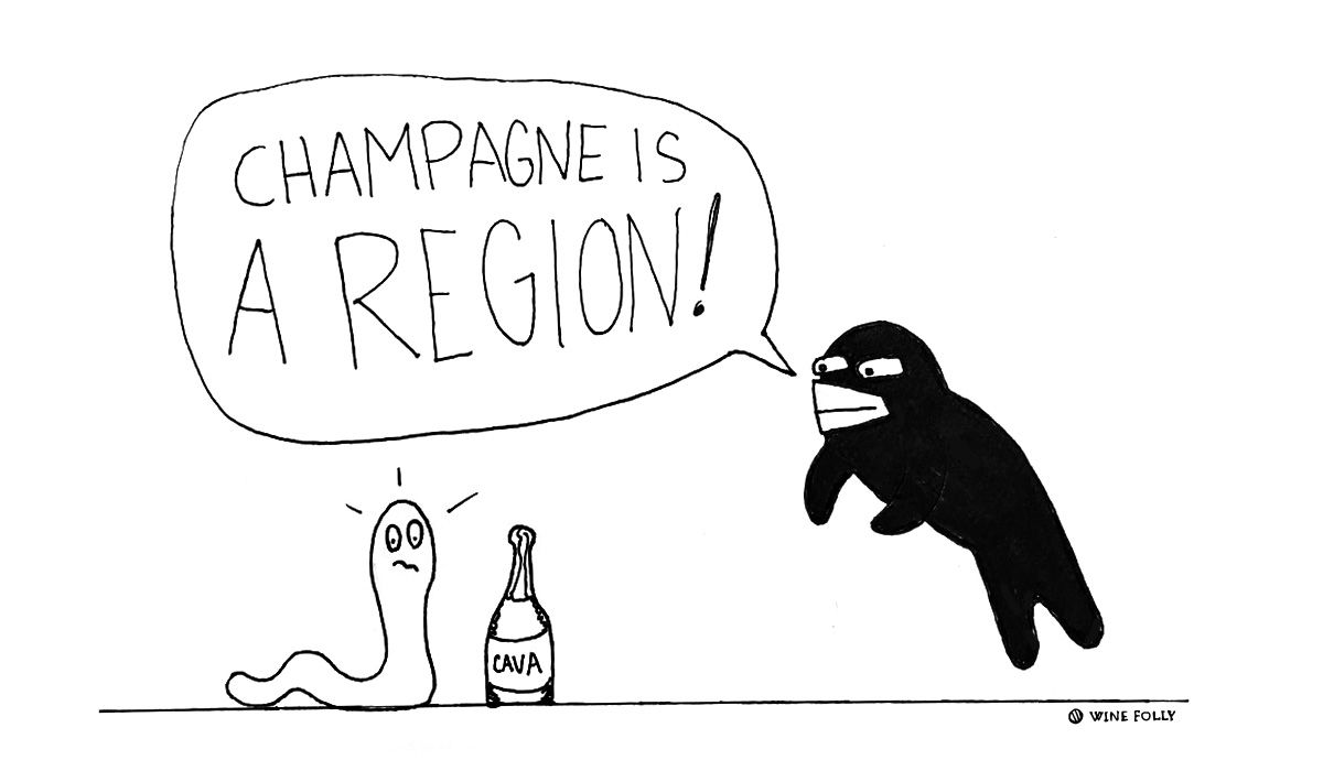 champagne-es-una-región-winefolly-comic-illustration