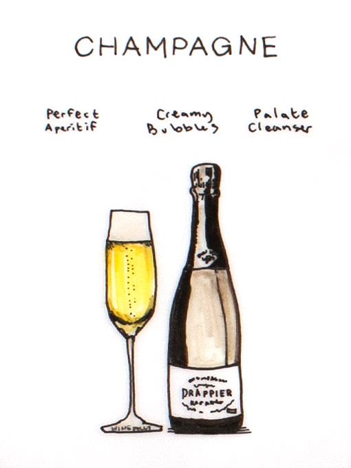šampanas-iliustracija