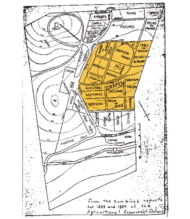 original-jackson-vineyard-map-1890-usdavis