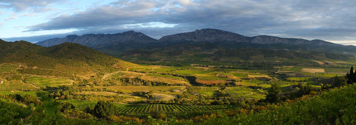 Languedoc-Roussillon의 Maury Wine Area