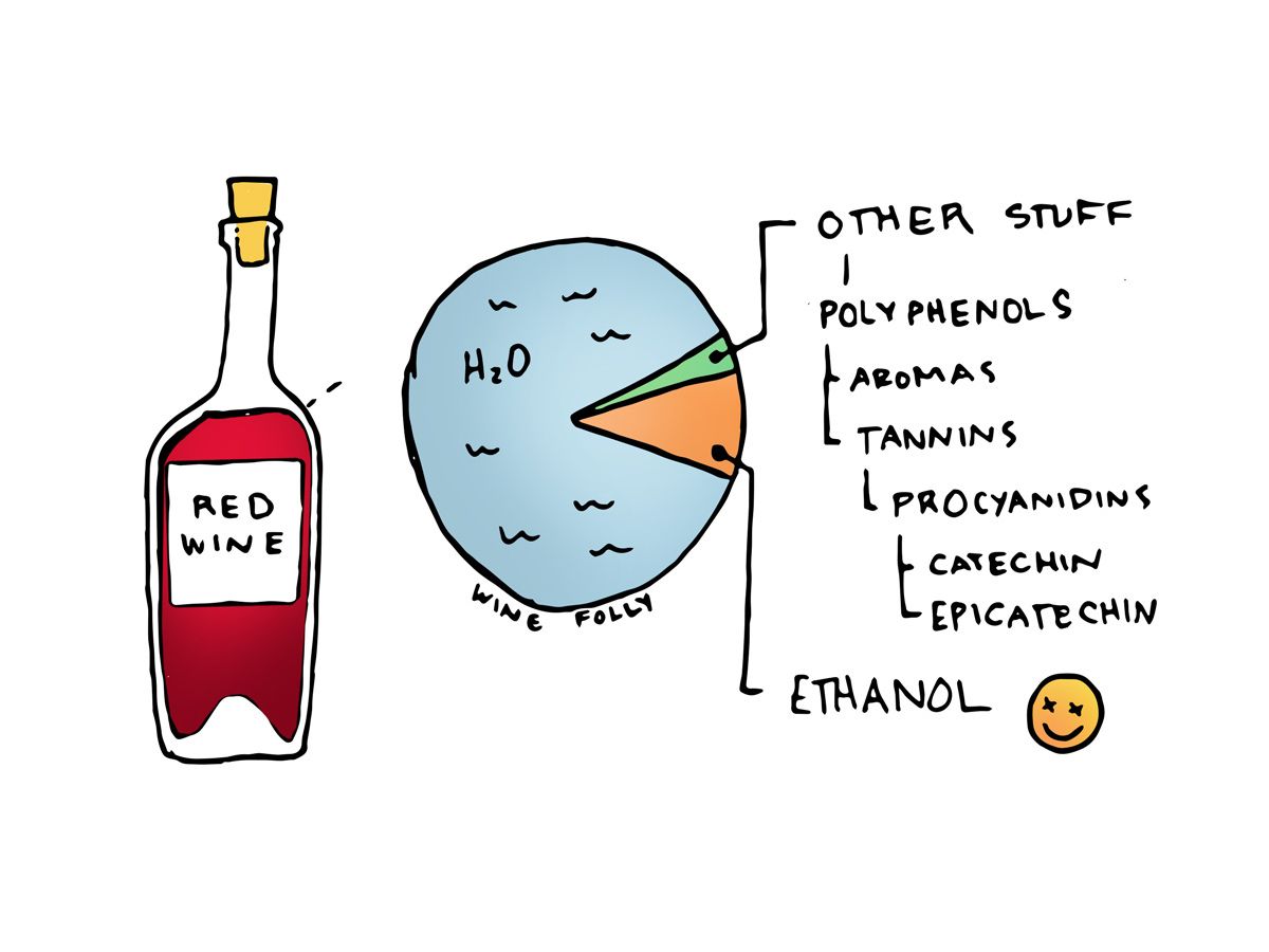 Fakty o červenom víne - ilustrácia od Wine Folly