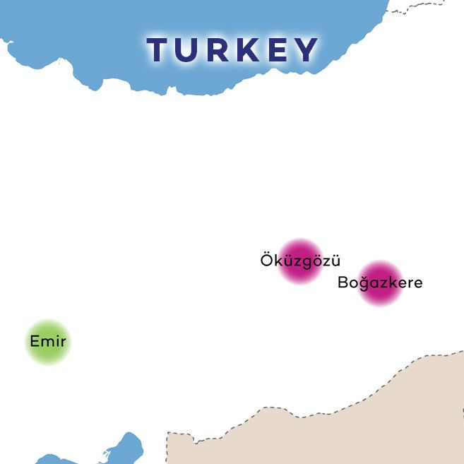 मानचित्र पर पूर्वी तुर्की वाइन