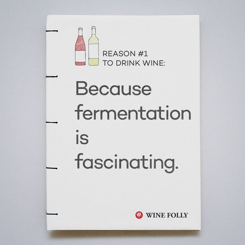 Parce que la fermentation est fascinante
