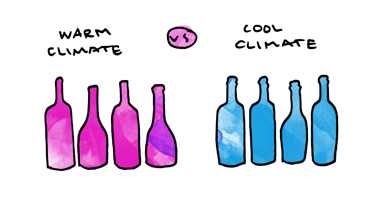 silts-klimats-pret-vēss-klimats-vīns