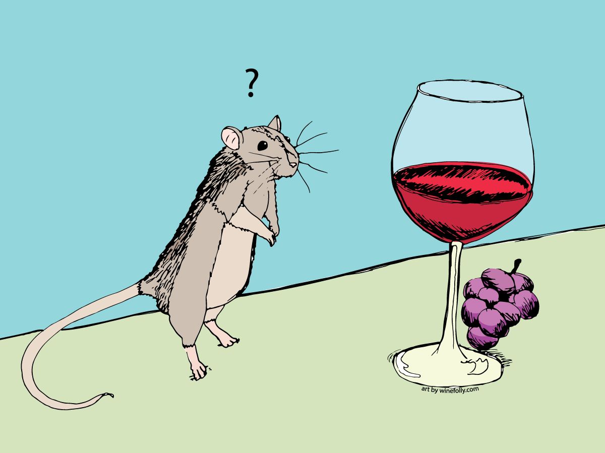 Едно червено вино е свързано със загуба на тегло и добро здраве
