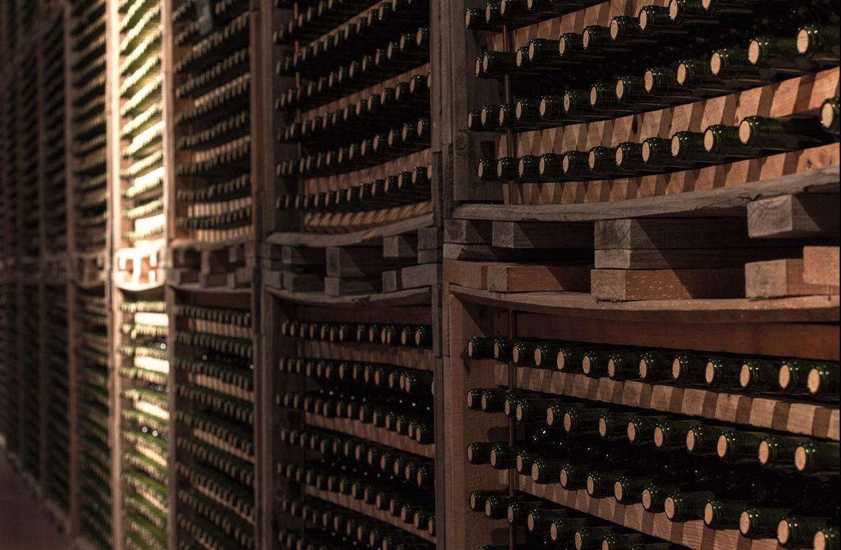 Tempranillo-Rioja-Senėjimas buteliuose-Vynas-Folly