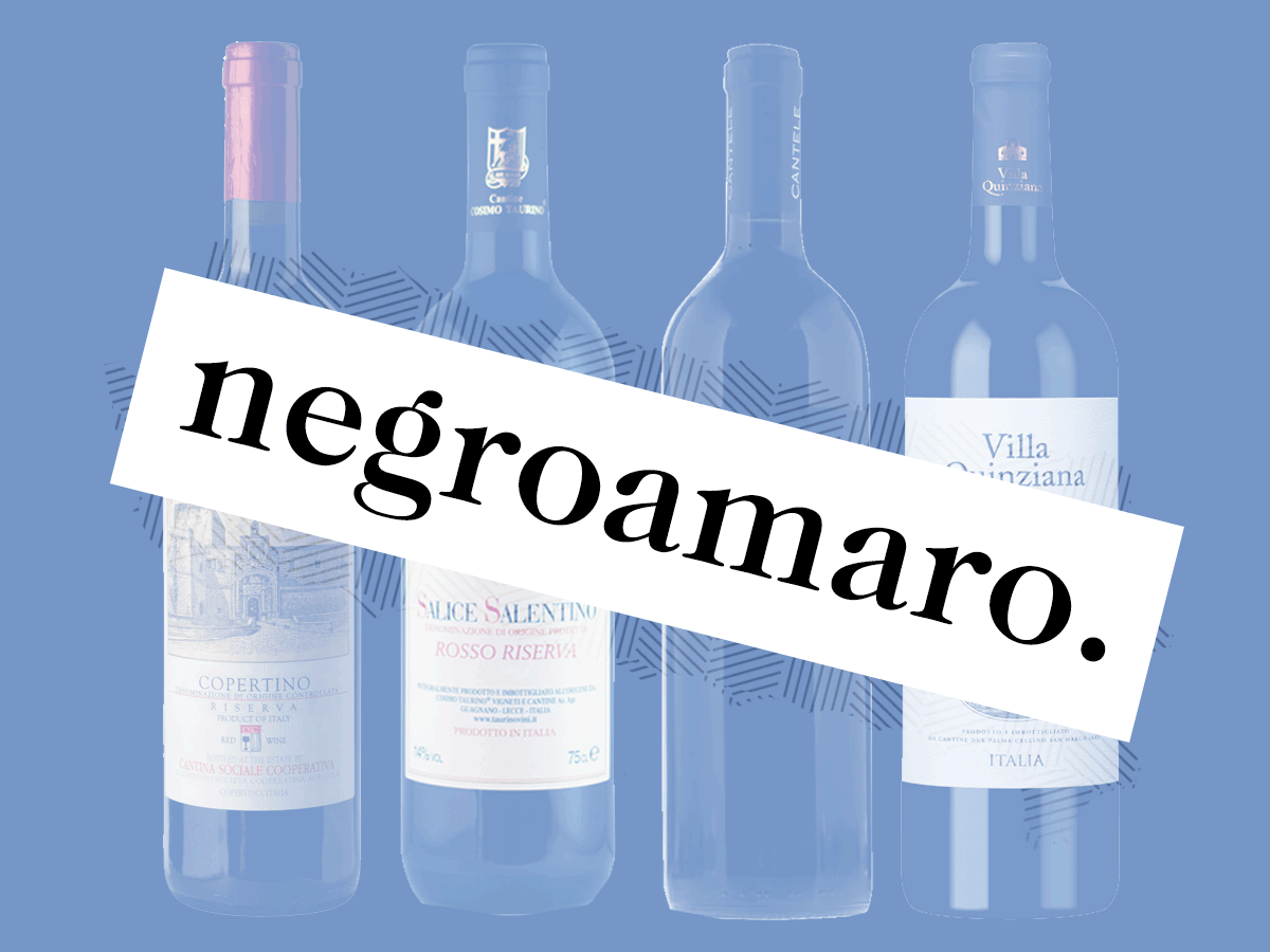 negroamaro-billige-vine-italien-rød-vin-dårskab