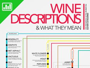 vyno aprašymai-diagrama-parduotuvė