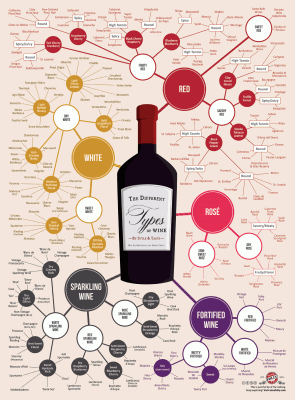 Različne vrste vinskega grafikona Infographic