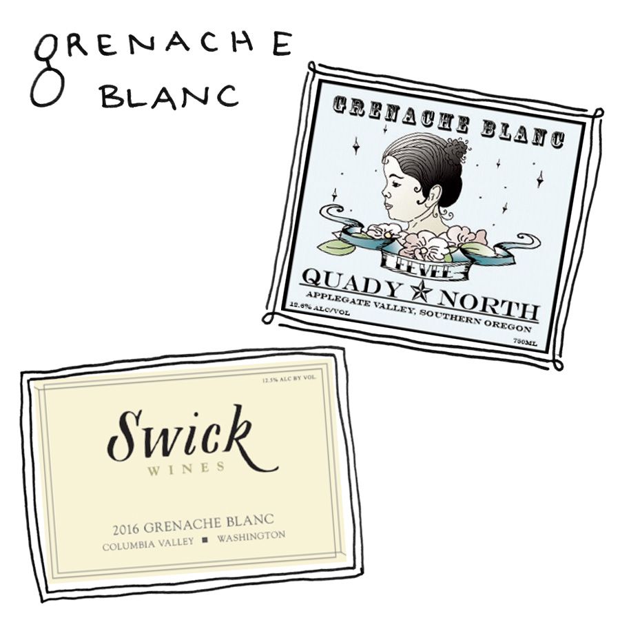 Oregono „Grenache Blanc“ vynai