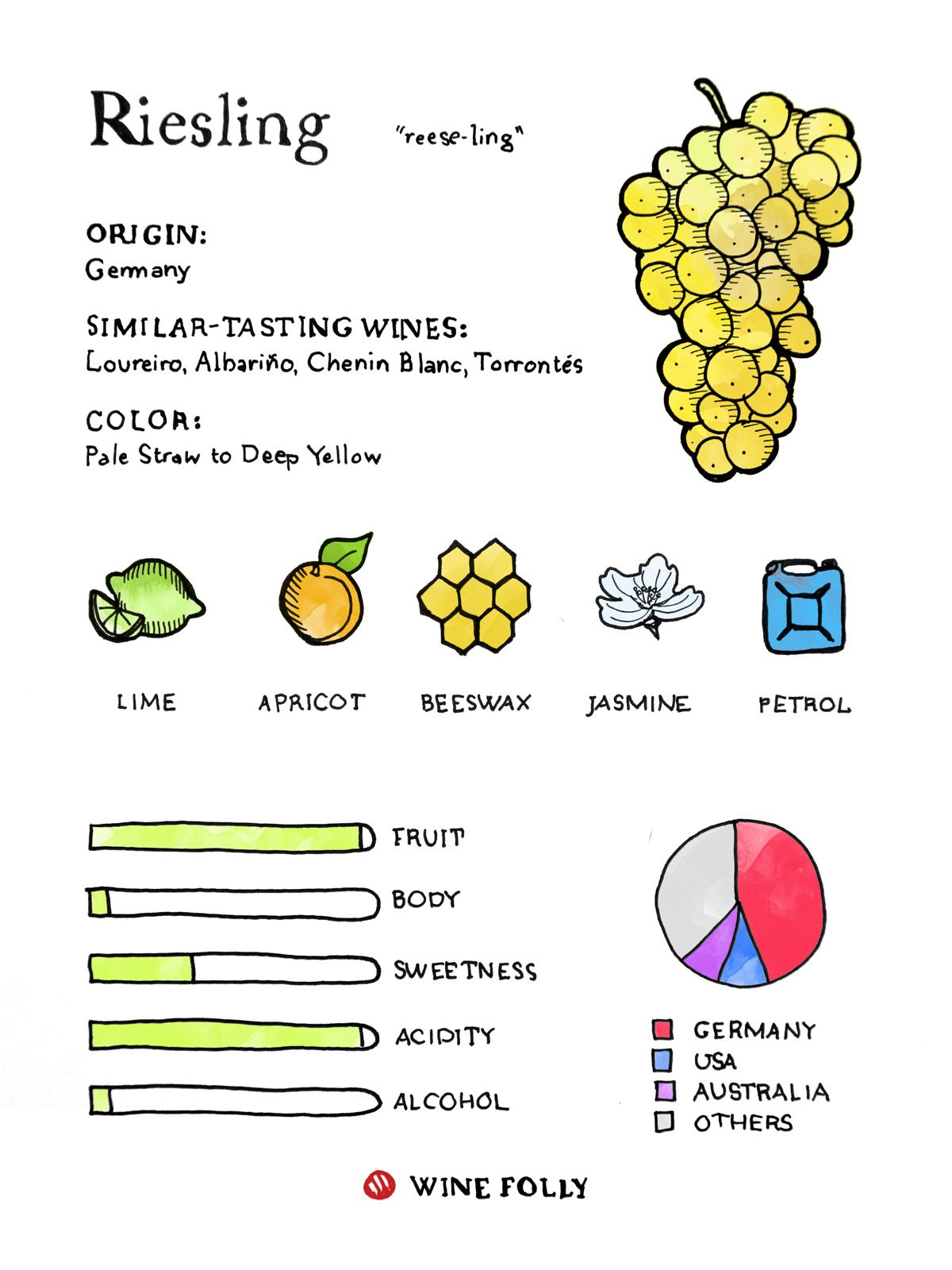 Riesling vyno vynuogių skonio profilis ir populiariausi regionai