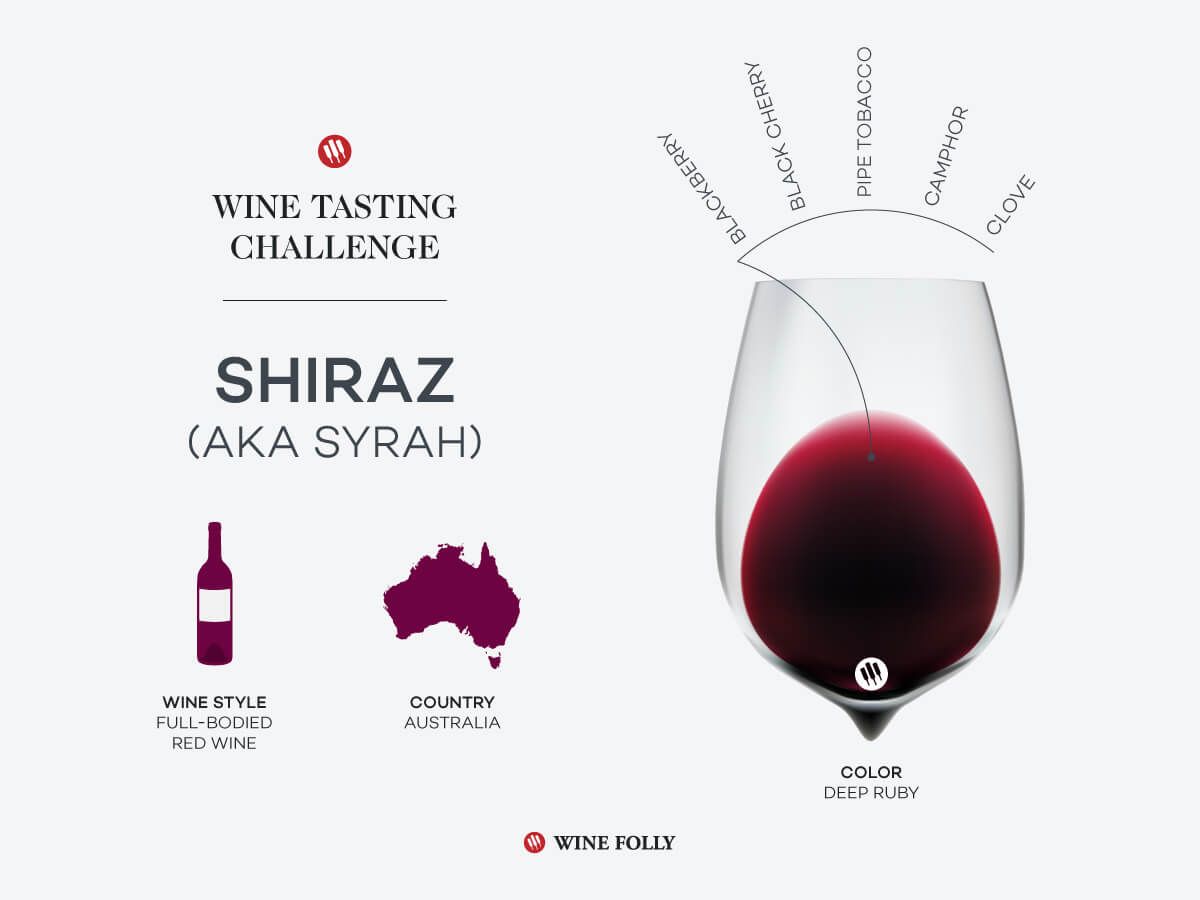 desafío de cata de vinos shiraz