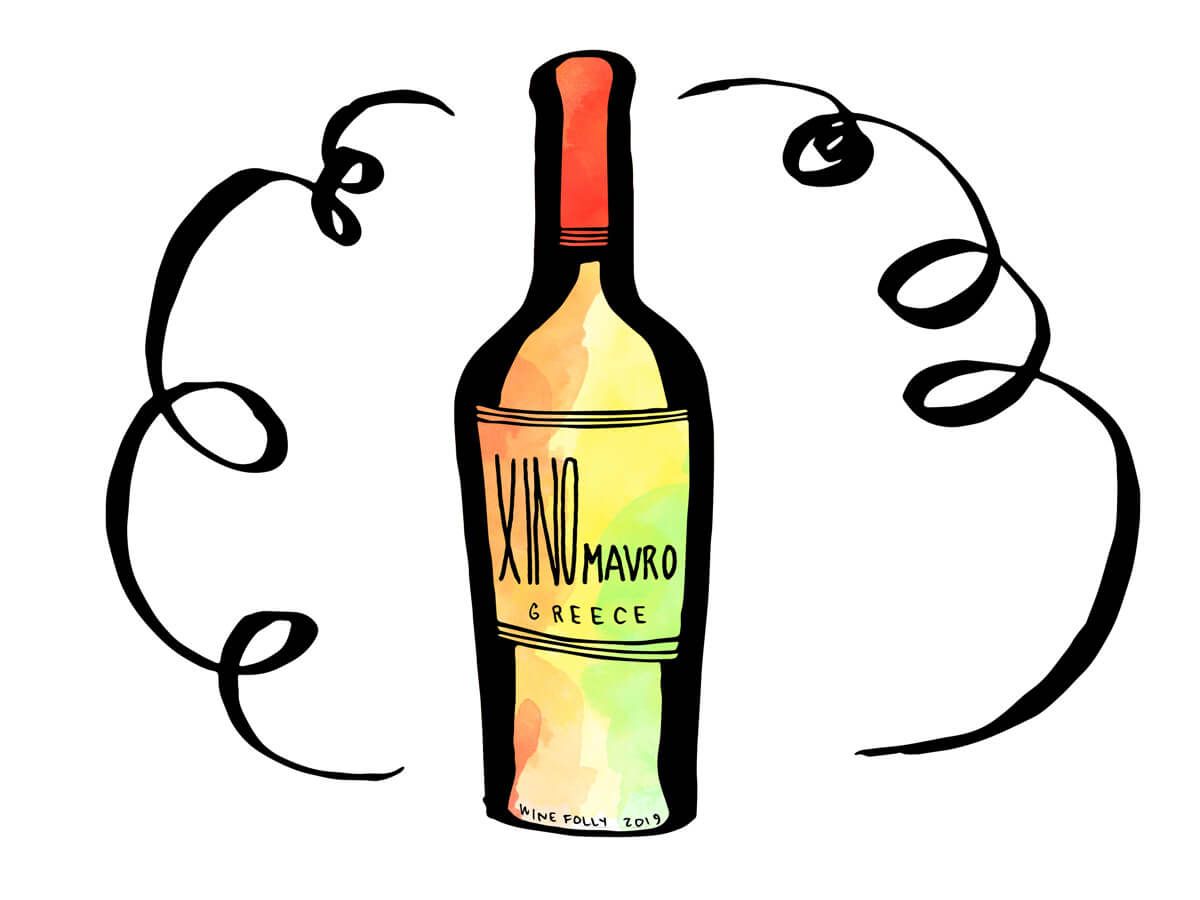 xinomavro-gresk-rød-vin-flaske-illustrasjon-vinfolie