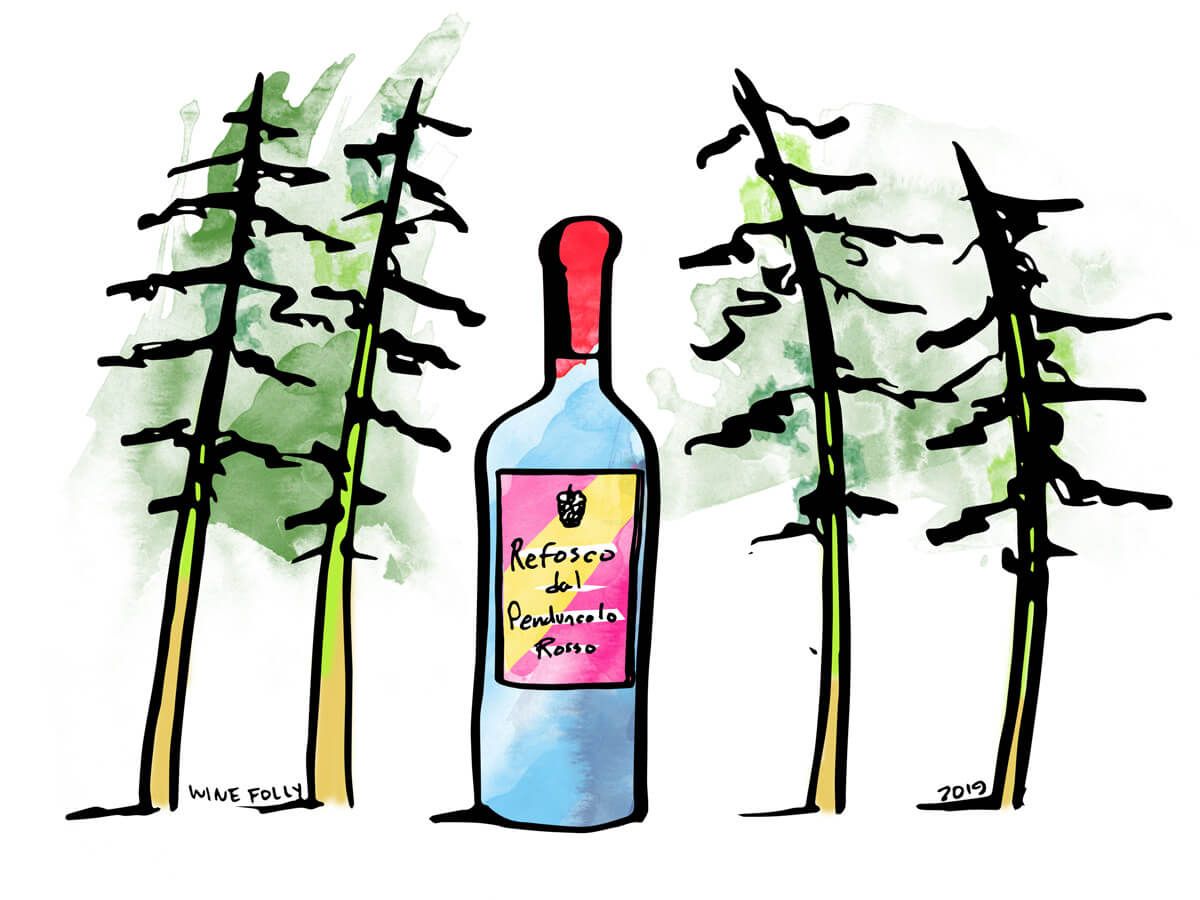 refosco-flaske-illustrasjon-vinfolie