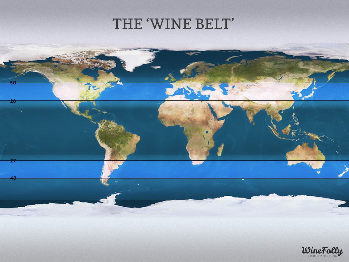 Vyno regionai pasaulyje