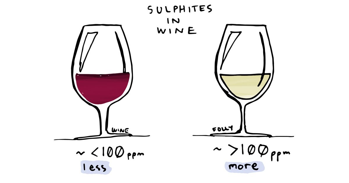 sulfitai-vynas-iliustracija-pagal-vynas-kvailumas